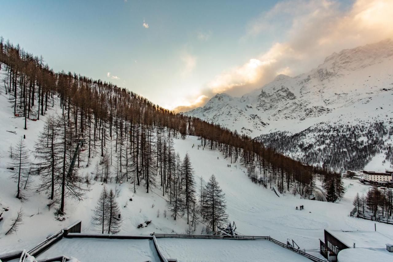 Deer Breuil-Cervinia