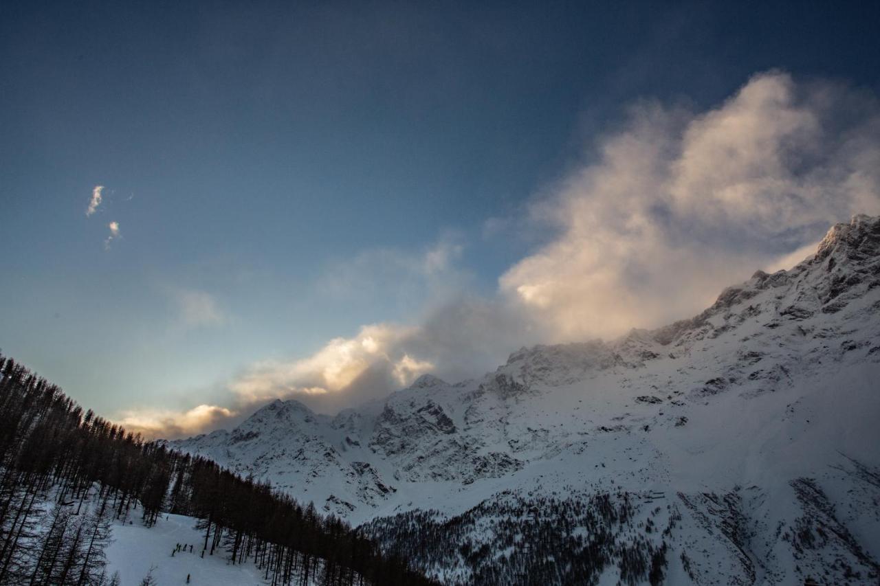 Deer Breuil-Cervinia